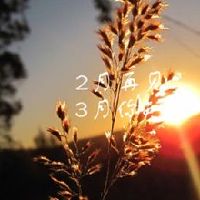 三月你好的暖心语录 2022二月再见三月你好心情说说