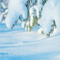 让人暖心舒服的说说 给人安全感的心情语录(精选94句)