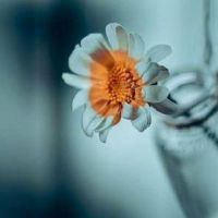 对现在的自己很失望的说说语录