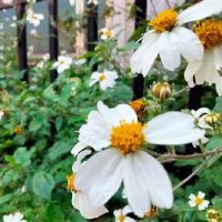 疫情严重注意防护的关心语句(精选44句)