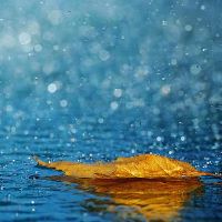 适合下雨天的朋友圈文案 关于下雨的精彩短句(精选99句)