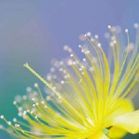 七个字好听吸引人的网名(精选94个)