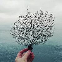 感叹生活不易的文案句子(精选49句)