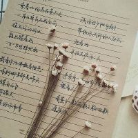 非常可爱撒娇的道歉文案短句(精选33句)