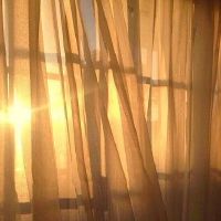 520让人心动的表白文案短句(精选96句)