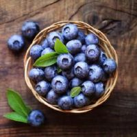 好听关于蓝莓的网名大全(精选57个)