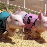 逗比让人过目不忘的网名大全(精选38个)