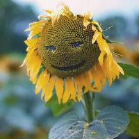 好听的八个字微信网名(精选30个)