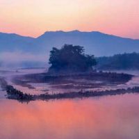 4个字古风诗意唯美名字 字的网名有诗意(精选93个)