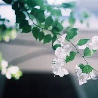 英雄联盟lol帅气高冷的男生名字