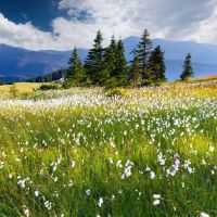 有含义的英文网名带中文翻译(精选56个)