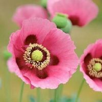 简单字吸引人的个性签名(精选79个)