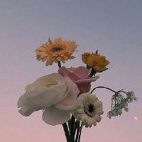 早上吸引朋友圈的句子大全(精选49句)