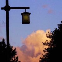 小众惊艳的唯美昵称 好听独特的唯美网名(精选79个)