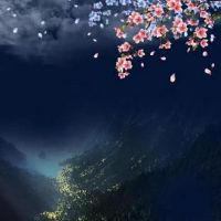 让人一看就心疼的网名 字有些遗憾的网名(精选36个)