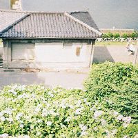 开头统一名字的家族名字(精选104个)