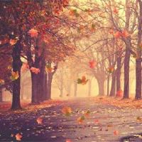 有意境有故事的微博网名(精选78个)