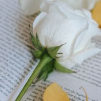 微信昵称充满正能量 很青春有活力的微信网名(精选54个)