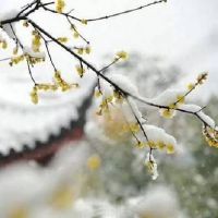 适合天气冷入冬发朋友圈的文案(精选35句)