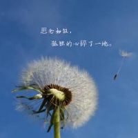 独一无二的扎心网名非常伤感(精选89个)