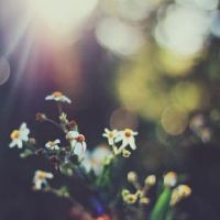 简单优雅又好听女生网名(精选58个)