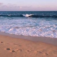 每天运动打卡的说说 健身打卡文案朋友圈文案