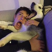 非常有意思的谐音网名(精选91个)