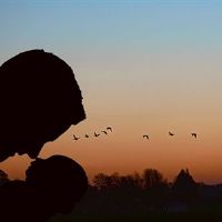 鼓励孩子读书加油打气的话(精选80句)