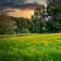 感谢老师的句子经典语录(精选56句)