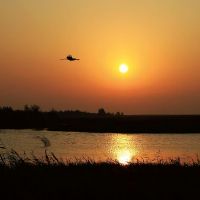 日出文案 日出朋友圈配文