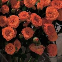 增加运势的个性昵称 改变运气的个性名字合集(精选39个)