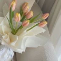 95号汽油加满的搞笑文案 95号汽油加满是什么梗