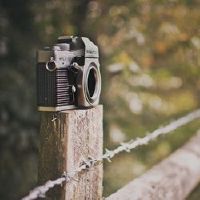 好听的两个字文艺网名(精选76个)