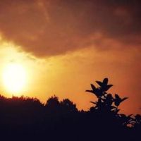 让人感觉失望的网名(精选61个)