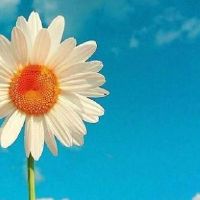 自律有追求的励志网名(精选47个)