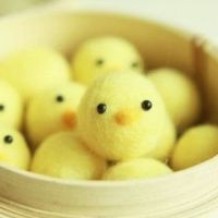 情人节单身狗搞笑说说 2022情人节搞笑说说加图片大全