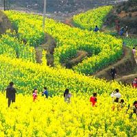 踏青的诗句精选（10首）