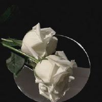 删掉前任发朋友圈的短句 将前任删掉的心情说说