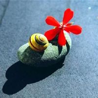 简短而有深意的文案(精选78句)