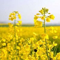 低调大方看淡一切的网名大全(精选116个)