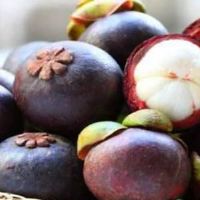 关于山竹的网名大全(精选53个)