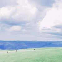 小清新唯美的女生微信昵称(精选102个)