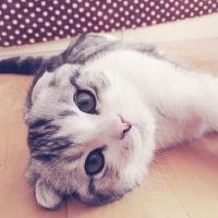 撒娇卖萌有点甜的网名大全(精选105个)