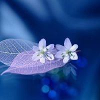 4个字古风诗意唯美名字 古风诗意的字网名(精选67个)