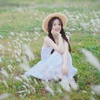 天气很好阳光很美句子