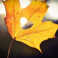 关于秋天的温柔文案句子(精选97句)