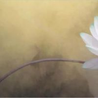 好听又难忘的网名五个字 好听的五个字网名(精选50个)