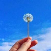 三观很正优质的短句(精选95句)