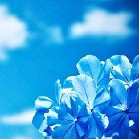 不会烂大街的好听网名(精选71个)