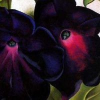 关于曼陀罗的网名大全(精选100个)